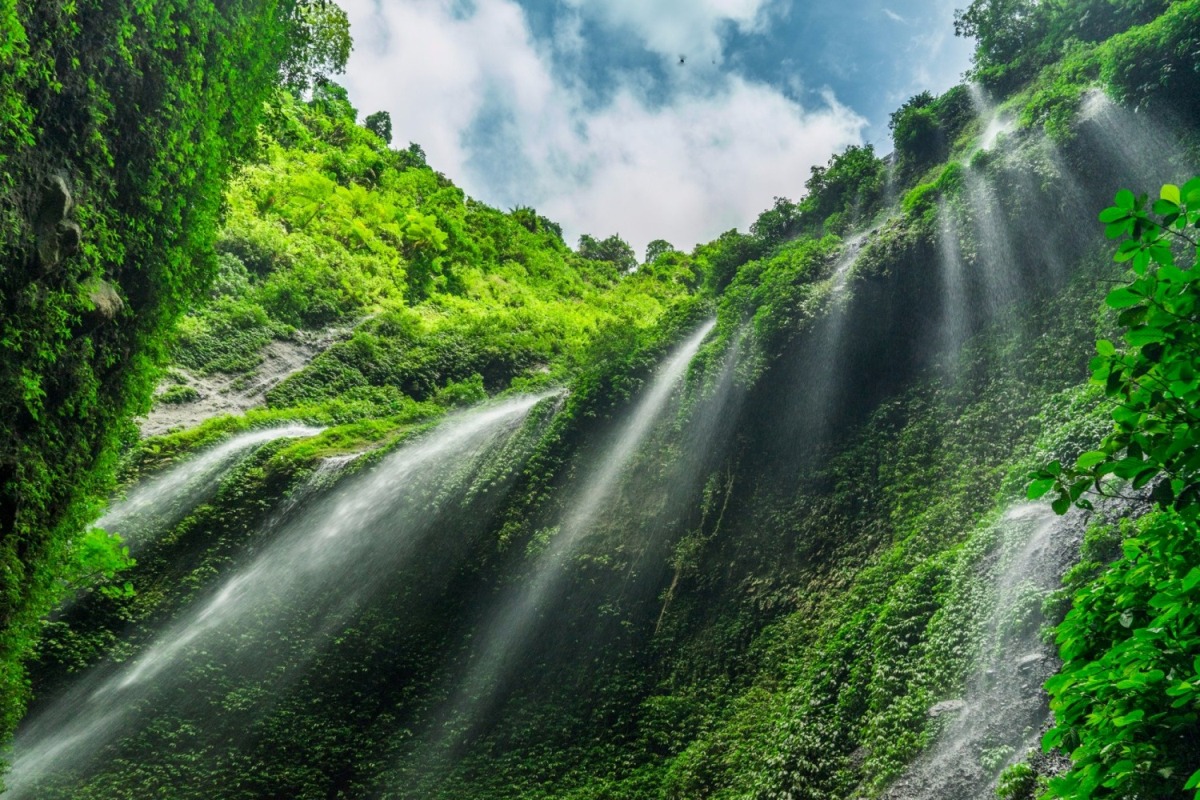 2-Daagse Yogyakarta, Madakaripura & Bromo Vulkaan