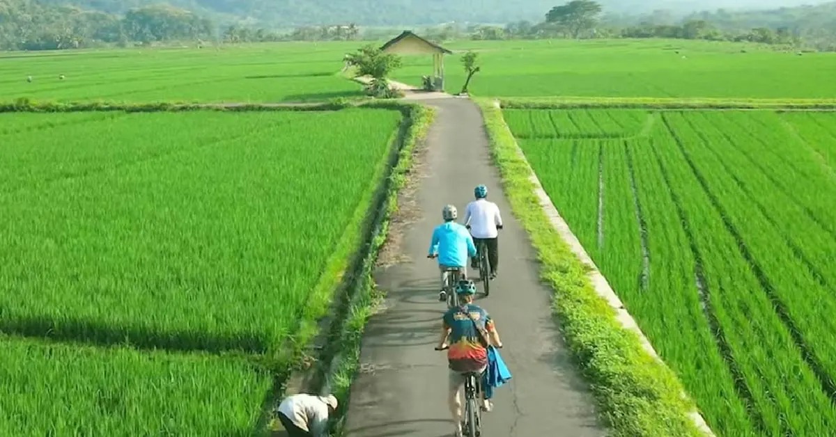 5-Daagse Yogyakarta Familie Reis 1